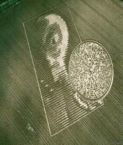 10 of The Best Crop Circles Ever â?? Collective Evolution