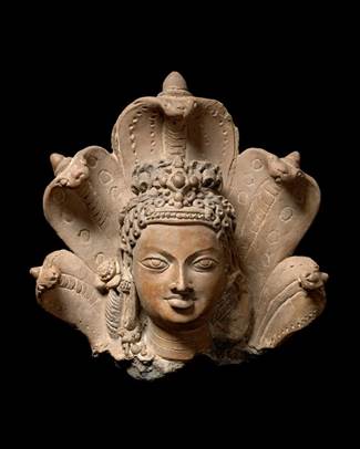 Head of Manasa, Hindu folk goddess of snakes, Gupta period ...